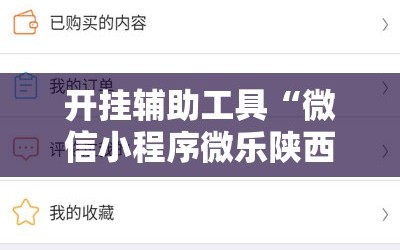 开挂辅助工具“微信小程序微乐陕西三带开挂辅助器通用版”开挂辅助脚本+详细开挂安装教程
