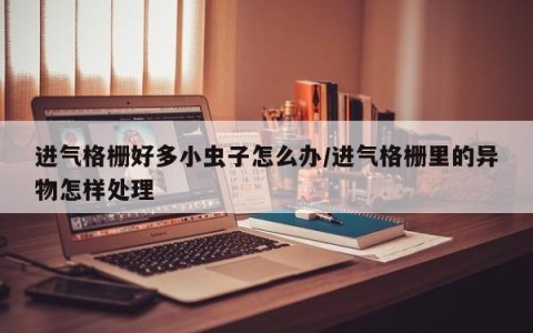 进气格栅好多小虫子怎么办/进气格栅里的异物怎样处理