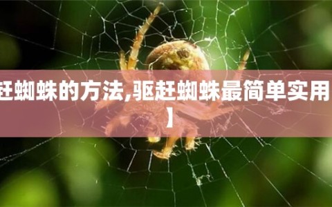 【驱赶蜘蛛的方法,驱赶蜘蛛最简单实用的办法】