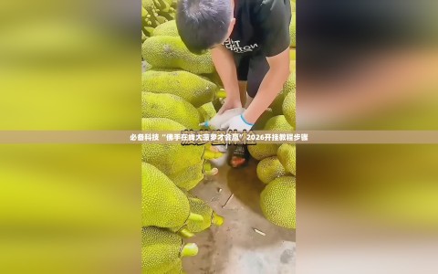 必备科技“佛手在线大菠萝才会赢”2026开挂教程步骤