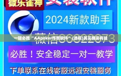 一键必胜“AApoker作弊软件”(透视)其实确实有挂