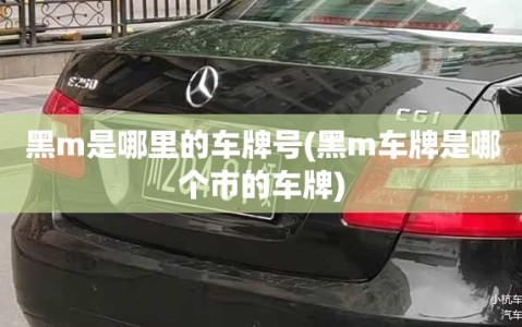 黑m是哪里的车牌号(黑m车牌是哪个市的车牌)