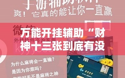 万能开挂辅助“财神十三张到底有没有挂”科技辅助神器手机版
