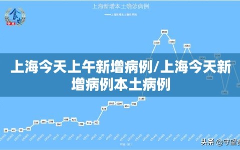 上海今天上午新增病例/上海今天新增病例本土病例