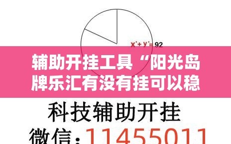 辅助开挂工具“阳光岛牌乐汇有没有挂可以稳赢的”详细外挂透视辅助软件教程
