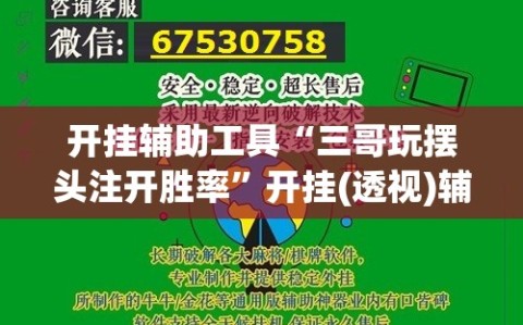 开挂辅助工具“三哥玩摆头注开胜率”开挂(透视)辅助教程