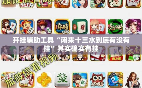 开挂辅助工具“闲来十三水到底有没有挂”其实确实有挂