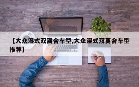 【大众湿式双离合车型,大众湿式双离合车型推荐】