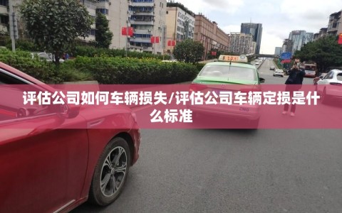 评估公司如何车辆损失/评估公司车辆定损是什么标准