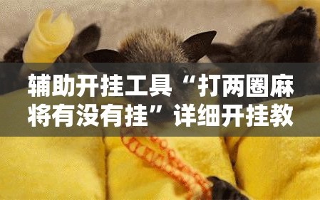 辅助开挂工具“打两圈麻将有没有挂”详细开挂教程