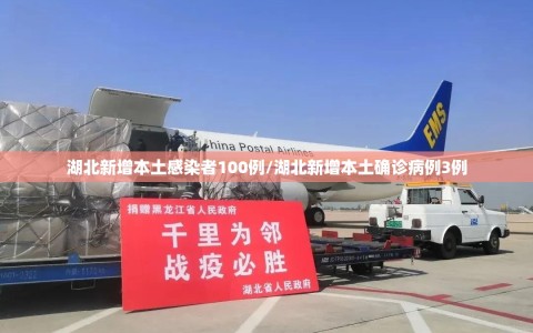 湖北新增本土感染者100例/湖北新增本土确诊病例3例