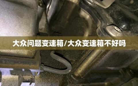大众问题变速箱/大众变速箱不好吗