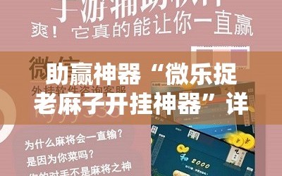 助赢神器“微乐捉老麻子开挂神器”详细外挂透视辅助软件教程