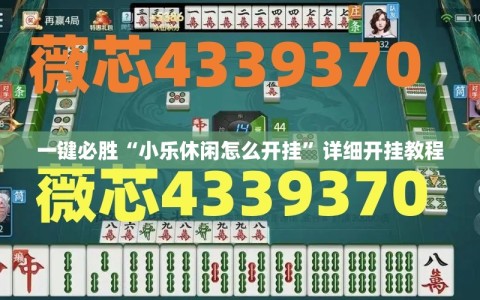一键必胜“小乐休闲怎么开挂”详细开挂教程
