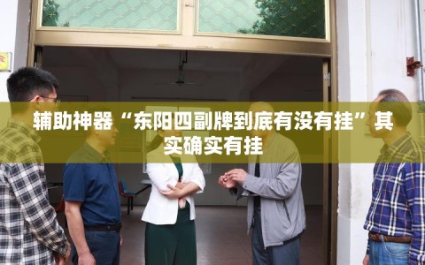 辅助神器“东阳四副牌到底有没有挂”其实确实有挂