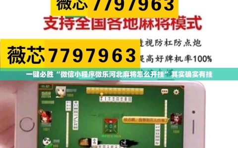 一键必胜“微信小程序微乐河北麻将怎么开挂”其实确实有挂