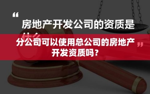分公司可以使用总公司的房地产开发资质吗？
