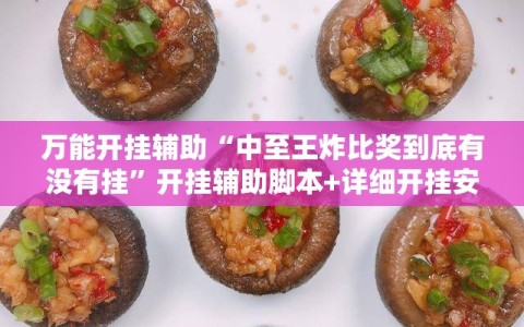 万能开挂辅助“中至王炸比奖到底有没有挂”开挂辅助脚本+详细开挂安装教程