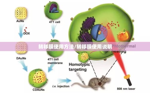 转移膜使用方法/转移膜使用说明