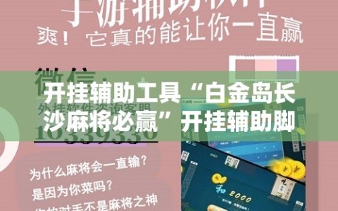 开挂辅助工具“白金岛长沙麻将必赢”开挂辅助脚本+详细开挂安装教程