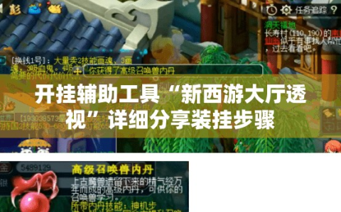开挂辅助工具“新西游大厅透视”详细分享装挂步骤
