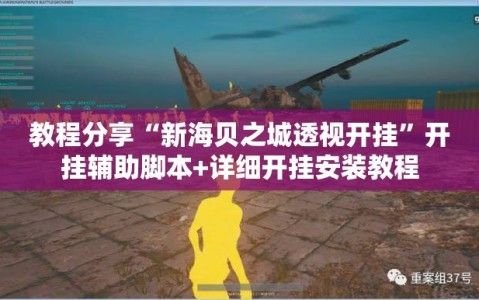 教程分享“新海贝之城透视开挂”开挂辅助脚本+详细开挂安装教程