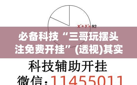 必备科技“三哥玩摆头注免费开挂”(透视)其实确实有挂