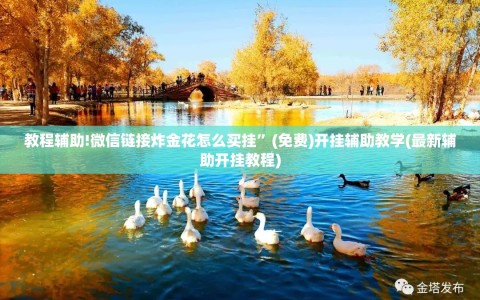 教程辅助!微信链接炸金花怎么买挂”(免费)开挂辅助教学(最新辅助开挂教程)