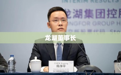 龙湖董事长