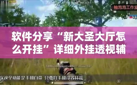 软件分享“新大圣大厅怎么开挂”详细外挂透视辅助软件教程