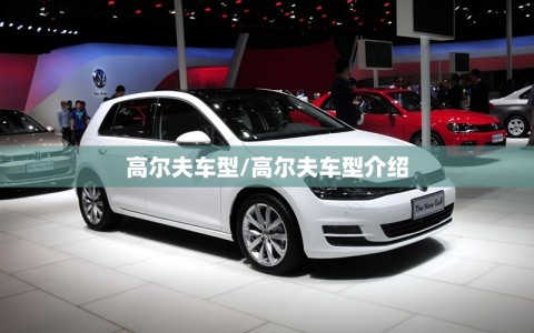 高尔夫车型/高尔夫车型介绍