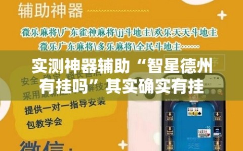 实测神器辅助“智星德州有挂吗”其实确实有挂
