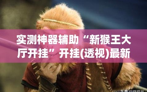 实测神器辅助“新猴王大厅开挂”开挂(透视)最新辅助详细