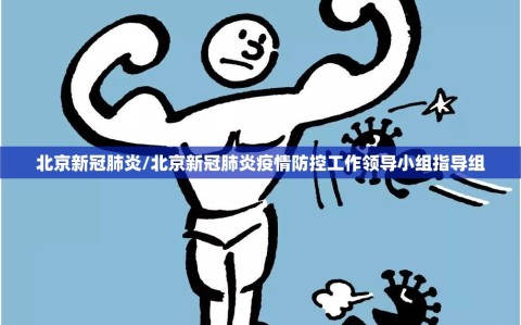 北京新冠肺炎/北京新冠肺炎疫情防控工作领导小组指导组