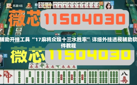 辅助开挂工具“17麻将众娱十三水胜率”详细外挂透视辅助软件教程