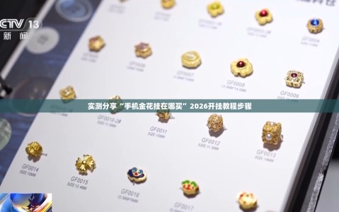 实测分享“手机金花挂在哪买”2026开挂教程步骤