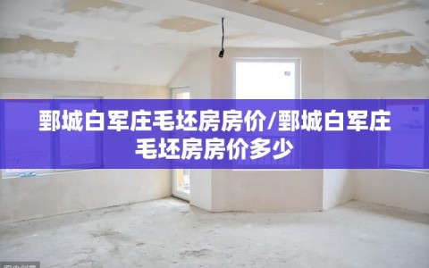 鄄城白军庄毛坯房房价/鄄城白军庄毛坯房房价多少