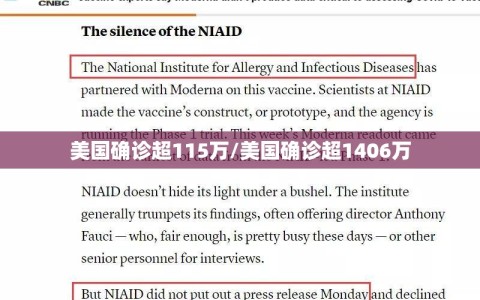 美国确诊超115万/美国确诊超1406万