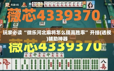 玩家必读“微乐河北麻将怎么提高胜率”开挂(透视)辅助神器