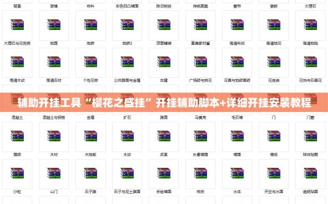 辅助开挂工具“樱花之盛挂”开挂辅助脚本+详细开挂安装教程