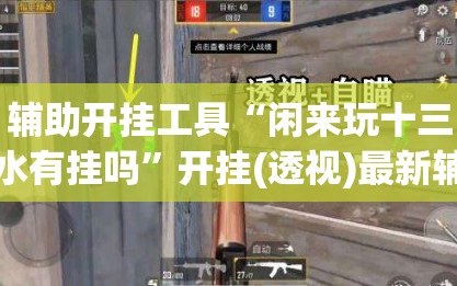 辅助开挂工具“闲来玩十三水有挂吗”开挂(透视)最新辅助详细