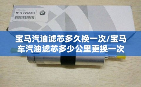 宝马汽油滤芯多久换一次/宝马车汽油滤芯多少公里更换一次