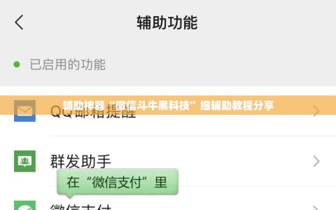 辅助神器“微信斗牛黑科技”细辅助教程分享