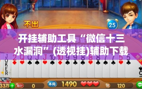 开挂辅助工具“微信十三水漏洞”(透视挂)辅助下载教程