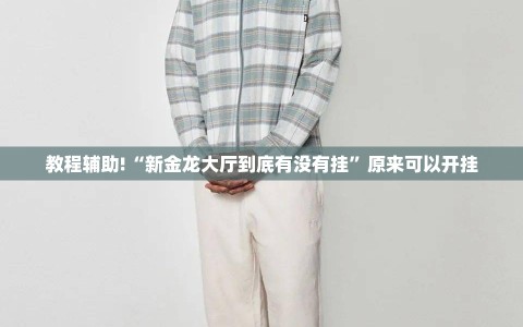 教程辅助!“新金龙大厅到底有没有挂”原来可以开挂