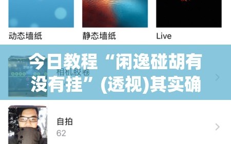 今日教程“闲逸碰胡有没有挂”(透视)其实确实有挂