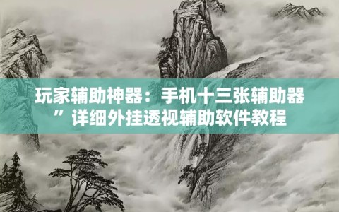 玩家辅助神器：手机十三张辅助器”详细外挂透视辅助软件教程