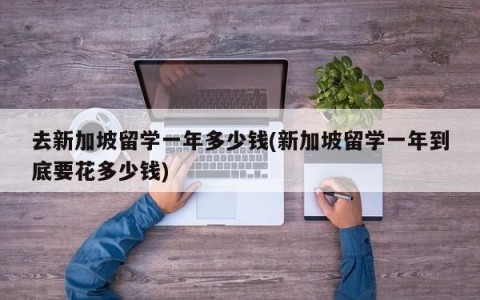 去新加坡留学一年多少钱(新加坡留学一年到底要花多少钱)