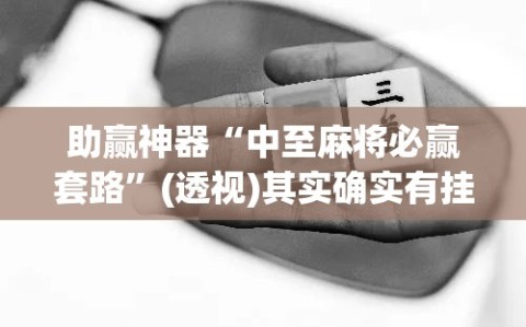 助赢神器“中至麻将必赢套路”(透视)其实确实有挂