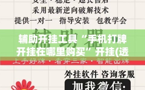 辅助开挂工具“手机打牌开挂在哪里购买”开挂(透视)最新辅助详细